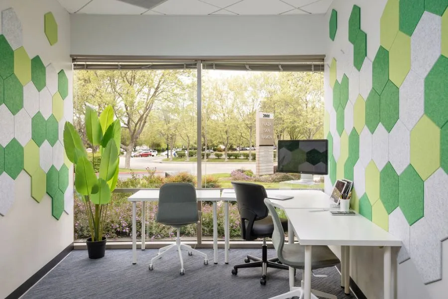 Brightfox classrooms